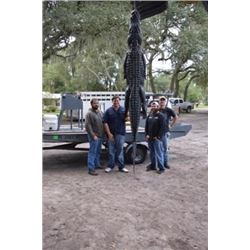 *Florida – 2 Day – Alligator Hunt for One Hunter