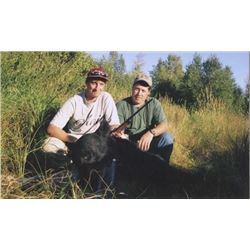 Alberta – 6 Day – Black Bear Hunt for One Person