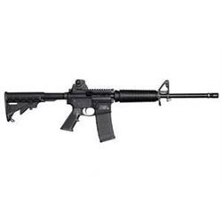 Michigan – Smith & Wesson M & P Sport - - AR 15 Rifle