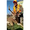 Image 1 : Missouri – 5 Day – Whitetail Deer hunt for One Hunter