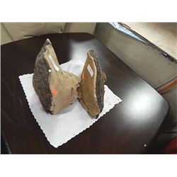 FUNGAS BURLS - LARGE AND MED = 2 TTL