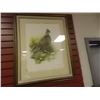 Image 1 : FRAMED PRINT - ARTIST PROOF - 10/35 - GROUSE