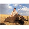 Image 2 : 7-Day Plains Game Hunt for Two Hunters in the Limpopo Province of South Africa - Includes Trophy Fee