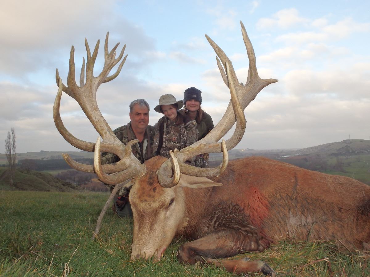 5-Day Red Stag Hunt for One Hunter in New Zealand - Includes Trophy Fee