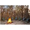 Image 8 : 7-Day Cape Buffalo Hunt and Kruger Park Tour for One Hunter and Three Non-Hunters in South Africa