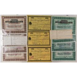 Fourteen Parrot Silver Mining Stock Certificates