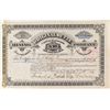 Image 1 : Original Butte Mining Company Stock Certificate