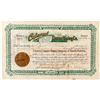 Image 1 : Cataract Copper Mining Co. Stock Certificate w/ Mine Cross-Section and Map on Reverse