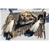 Image 2 : Plains Indian Bow, Arrows and Quiver