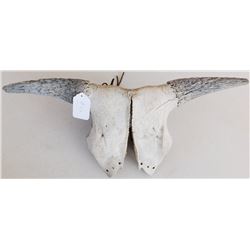 Plains Indian Trail Marker Buffalo Skull