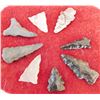 Image 2 : San Diego County Bird Points