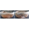 Image 8 : 2 Pre-Columbian Bowls