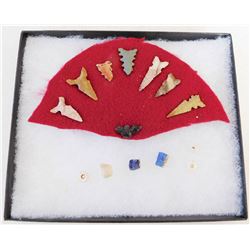 San Diego County Bird Points