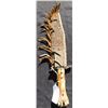 Image 2 : Plains Indian Knife & Sheath