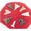 Image 2 : San Diego County Bird Points