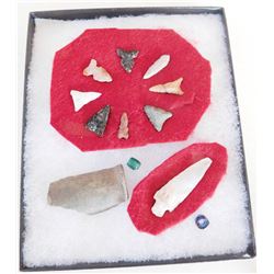 San Diego County Bird Points