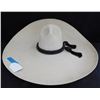 Image 1 : Great Old Sombrero