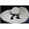 Image 2 : Great Old Sombrero