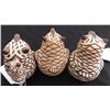 Image 6 : 3 Pueblo Owls