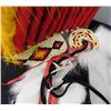 Image 6 : Large Native American Headdress