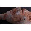 Image 4 : Olmec Stone Scepter or Staff w/COA