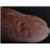 Image 5 : Olmec Stone Scepter or Staff w/COA