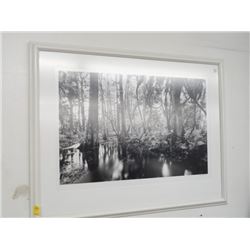 Clyde Butcher Large Florida Spring Framed Photo