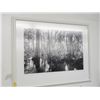Image 1 : Clyde Butcher Large Florida Spring Framed Photo