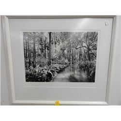 Clyde Butcher Medium Florida Spring Framed Photo