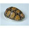 Image 1 : A silver mounted terrapin shell snuff box, circa 1800/1810, unmarked, of oval outline, with flush h.