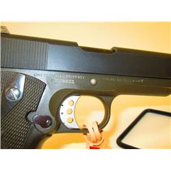 Magnificent IPSIC modified RESTRICTED