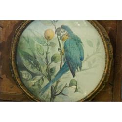 English School (19th Century) A Macaw, signed with monogram "SP" and date "1918", 17 x 17cm; and Sto