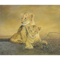 Sally Hynard (b.1959) Lion Cubs, signed lower right "S A Hynard", chromacolour, 30 x 36cm £500-600..