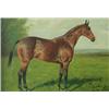 Image 1 : George Paice (19th Century) Battle Dawn, a favourite hunter, signed lower right "G Paice", oil on bo