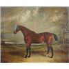 Image 1 : James Clark, Senior (1858-1943) A Bay Hunter in a Landscape, signed lower left, oil on canvas, 49 x.