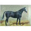 Image 1 : George Paice (exh.1881-1897) The Beny, a Dark Bay Hunter with a White Blaze in a Stable, signed low.