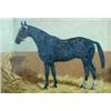 Image 1 : George Paice (exh.1881-1897) Indian Ink, a Dark Bay Hunter in a Stable, signed lower left "G Paice..