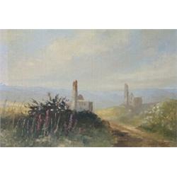 Mary Wastie (20th Century) Tin Mines at Sunset, signed lower right "Mary Wastie 1981", oil on canvas