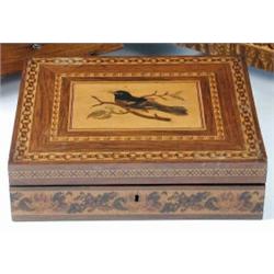 A mid 19th century Tunbridge ware writing box, the rectangular lid inlaid with a bird on a satinwoo.