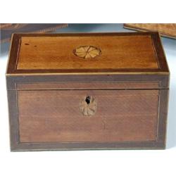 A George III mahogany tea caddy, the rectangular top and front inlaid with paterae within specimen..