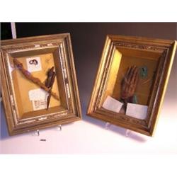 Two frames of Theban mummified remains, to include: two baby crocodiles, a hand and some hair from..