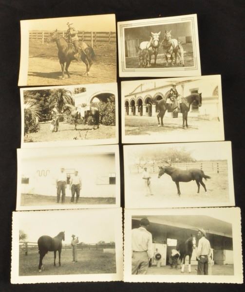 Collection Of 8 King Ranch Horse Photographs