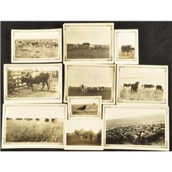 Collection of 10 Original King Ranch Photographs