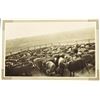 Image 7 : Collection of 10 Original King Ranch Photographs