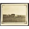 Image 8 : Collection of 10 Original King Ranch Photographs