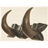 Image 2 : Outstanding Buffalo Horn Set