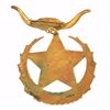Image 3 : Cattleman's Convention Badge