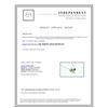 Image 3 : 14K:3.1g/Diamond:0.29ct