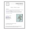 Image 3 : 14K WHITE GOLD PENDANT 2.70GRAM DIAMOND 0.69CT