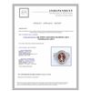 Image 3 : 14K WHITE GOLD RING 7.92GRAM DIAMOND 1.44CT TOURMALINE 4.09CT
